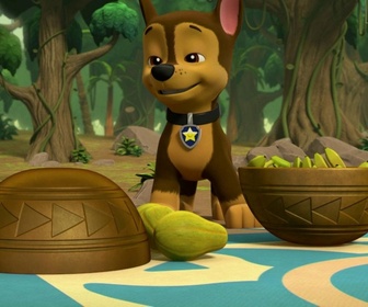 Replay Paw Patrol, la Pat'Patrouille - A la rescousse des trois singes