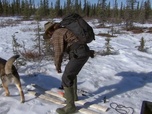 Replay Seuls face à l'Alaska - S6E12 - Dégel précoce