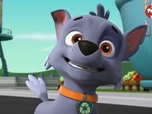 Replay Paw Patrol, la Pat'Patrouille - Le Lav'Animaux