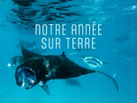 Replay Une année sur terre - 19/05/2026