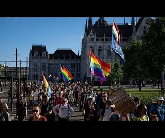Replay Marche des fiertés de Budapest : l'interdiction du défilé suscite un débat houleux au Parlement