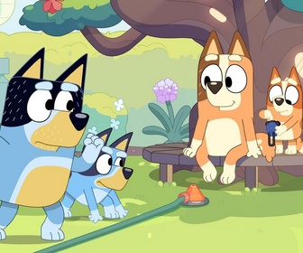 Replay Bluey - S3 E2 - La course d'obstacles