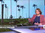 Replay Élément Terre, la quotidienne - L'Union Européenne recule sur la lutte contre la déforestation importée
