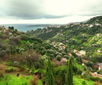 Replay Le goût du détail - Citron de Menton