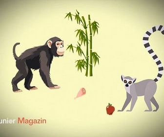 Replay ARTE JUNIOR Le magazine - Dossier école : le zoo