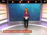 Replay De la terre à l'assiette - Poisson : à quel labels se fier ?