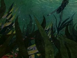Replay Fête du cinéma d'animation 2025 - Fille de l'eau