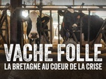 Replay La ligne bleue - Vache folle, la Bretagne au coeur de la crise