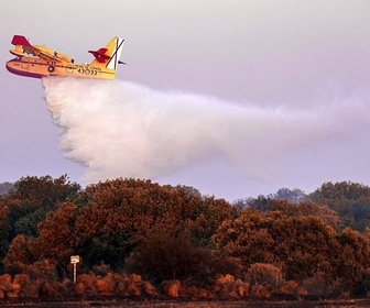 Replay Urgence climatique : un défi mondial - Canicule : les incendies font rage en Europe