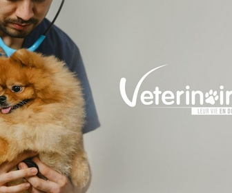 Replay Vétérinaires : leur vie en direct