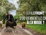 Replay Sur le front - 25/05/2026