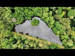Replay De l'IA au greenlash : comment évolue la désinformation climatique ?