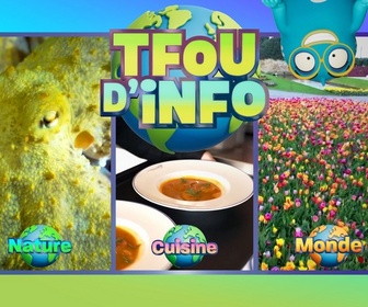 Replay Tfou d'Info du 15 avril 2026