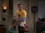 Replay The Big Bang Theory - S5E15 - Le contrat d'amitié