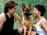 Replay Rex, chien flic - 17/07/2026