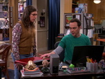 Replay The Big Bang Theory - S9E19 - Un fil à souder à la patte