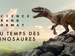 Replay Science grand format - Au temps des dinosaures