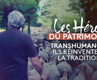 Replay Transhumance : ils réinventent la tradition