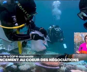 Replay Élément Terre - COP16 biodiversité : le financement au cœur des négociations