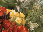 Replay Les Carnets de Julie - Les Saveurs des fleurs