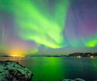 Replay Novembre-décembre : la fin d'un cycle - Une année sauvage autour de la Terre