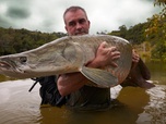 Replay Pêche XXL : derniers géants - Prédateurs préhistoriques