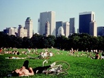 Replay Hommage à Frederick Wiseman - Central Park