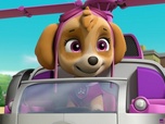 Replay Paw Patrol, la Pat'Patrouille - A la recherche du sac perdu