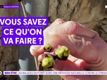 Replay On a de l'info - Emission du 27-04-26
