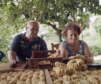 Replay Terroirs d'Europe - Les figues du mont Tomorr en Albanie