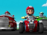 Replay Paw Patrol, la Pat'Patrouille - Drôles d'oiseaux