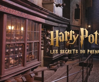 Replay Harry Potter : les secrets du phénomène - 31/10/2024