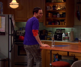 Replay The Big Bang Theory - S3E20 - Les spaghettis de la réconciliation