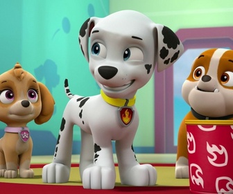 Replay Paw Patrol, la Pat'Patrouille - La Pat'Patrouille sauve un lamantin