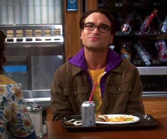 Replay The Big Bang Theory - S2E2 - Le flirt de Léonard