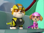 Replay Paw Patrol, la Pat'Patrouille - Une pluie de nourriture