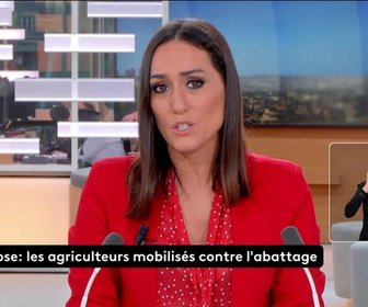 Replay Le JT en LSF - 13/12/2025