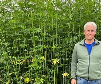 Replay Le chanvre, cette fibre vertueuse - ARTE Regards