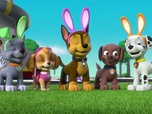 Replay Paw Patrol, la Pat'Patrouille - Le satellite