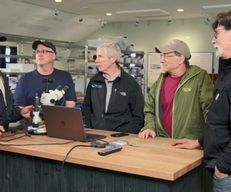 Replay Le mystère d'Oak Island : la course au trésor - S11E2 - Paris gagné - partie 2