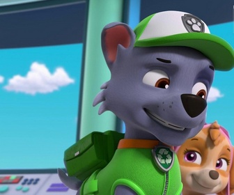 Replay Paw Patrol, la Pat'Patrouille - Toilettage à domicile