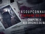 Replay Insoupçonnable, l'affaire du Grêlé - S1 E2 - Chapitre 2 : Aux origines du mal