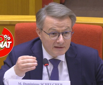 Replay 100% Sénat - Marges de la grande distribution : audition d'Auchan Retail et de Coopérative U