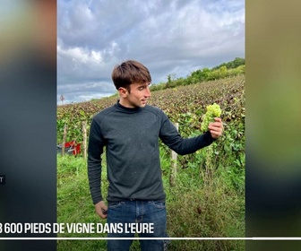 Replay Les longs formats des Locales - La Normandie se découvre... dans un vignoble de Giverny