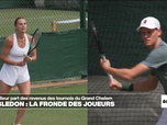 Replay Info éco - Wimbledon : les joueurs réclament une plus grande part du gâteau