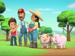 Replay Paw Patrol, la Pat'Patrouille - Le mariage