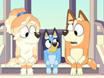 Replay Bluey - 20/12/2025