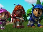 Replay Compilation Paw Patrol, la Pat'Patrouille 14