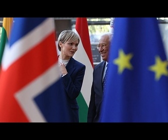 Replay L'heure de vérité pour l'Islande : ce que le référendum d'adhésion signifie pour l'UE