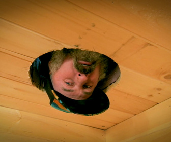 Replay Habitations en péril - S12E6 - Le blues de la tourbière partie 2